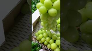 muscat grape satisfying asmr shortvideo shorts [upl. by Sianna]