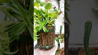 Macetas imitación madera con bandejas desechables de Icopor jardines plantas diy [upl. by Dahlstrom395]