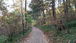 Crum Creek Trail Swarthmore Campus Swarthmore PA October 18 2024 [upl. by Benis899]