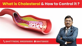 What is Cholesterol amp How to Control it [upl. by Magnolia950]