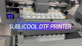 How about the High Quality DTF Printer Machine For Tshirt Produce Company [upl. by Val617]