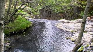 Umtanum Creek Falls Ellensburg Kittitas Valley WA [upl. by Idel]