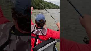 Floating Down the River For Trout troutfishing fishing fish trout river shorts outdoors [upl. by Appel]