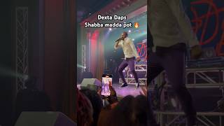 Dexta daps  Shabba madda pot live performance 🔥 dextadaps [upl. by Naraa]