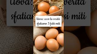 TUTTA la VERITÀ sulle UOVA🥚 SFATIAMO 3 FALSI MITI short [upl. by Cyrillus229]