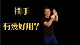 詠春拳隻攔手有幾好用。Han Manh Sifu explained the Wing chun LAn Sao [upl. by Johnstone]