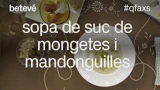 Sopa de suc de mongetes i mandonguilles  QFAXS Cuina sostenible amb l’Ada Parellada  betevé [upl. by Norrv]