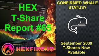 HEX TShare Report 65 Sept 2039 5555 TShares  Whale Status [upl. by Lleihsad194]