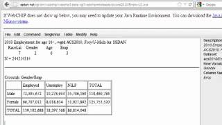 Bivariate Analysis in WebCHIP Cross Tabulation and Tables [upl. by Rodgiva]