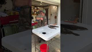 AMAZINGLY EASY FLOUNDER CATCHING TIPS [upl. by Uni490]