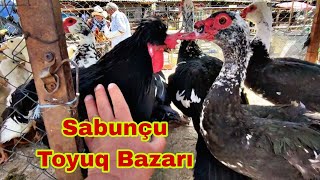 Sabunçu Toyuq Bazarı 28 aprel 2024 050 798 11 33 0557848534 [upl. by Dnalel]