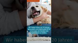 Spondylose beim Hund behandeln  DOG FIT by PreThis® [upl. by Goles]