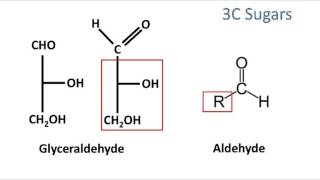 Memorizing Simple Sugars in Under 10 minutes [upl. by Skelly869]