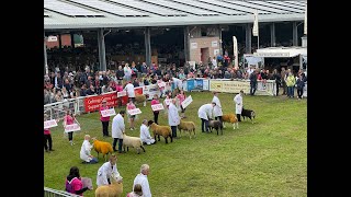 Interbreed Sheep judging championship at Royal Welsh Show on Wednesday 24th July ‘24 [upl. by Aikim]