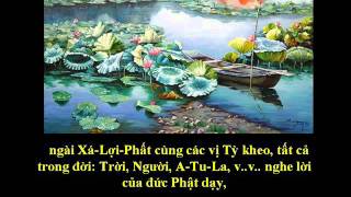 Tụng Kinh Phật A Di Đà Nghĩa  Thích Trí Thoát tụng [upl. by Candida]