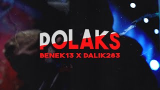 BENEK13 X DALIK283  POLAKS Official Video [upl. by Onirefez721]