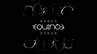 EQUINOX  Bones Acapella  Vocals Only [upl. by Salvay]