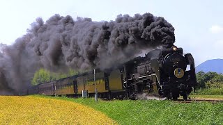 【黄金色の山口線】 SLやまぐち号 D51200号機 Japanese Steam Locomotive D51 【蒸気機関車】 [upl. by Wivinah]