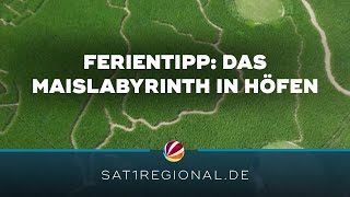 Ferientipp Das Maislabyrinth in Höfen bei Meinersen [upl. by Hugibert]