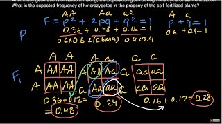 HardyWeinberg problem and inbreeding [upl. by Nothgiel]