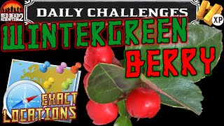 Wintergreen Berry Locations RDR2 Online Daily Challenge Location Guide Red Dead Redemption 2 [upl. by Manon]