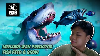 MENJADI IKAN PREDATOR  FEED AND GROW FISH E17 [upl. by Arrat]