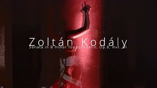 Kodály Sonata in B minor for solo cello Op8 mvt III live [upl. by Koball]