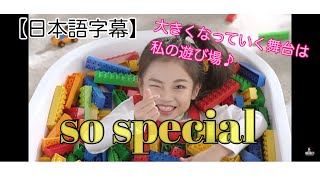 【日本語字幕】so special ハウンちゃん [upl. by Aryek]