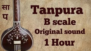 Tanpura B scale  Sa Pa Tanpura  Tambura [upl. by Clarice]