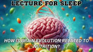 How is brain evolution related to nutrition [upl. by Elita]