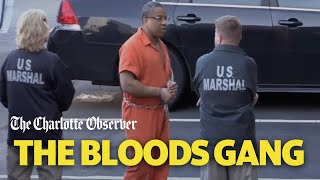 Alleged Leaders Of The Bloods Gang Are On Trial In Charlotte Who They Are In 60 Seconds [upl. by Dame]