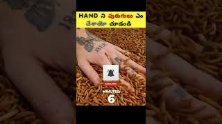 This Is What Worms Will Do to Your Hand shorts factsintelugu interstingfactsintelugu [upl. by Philis]