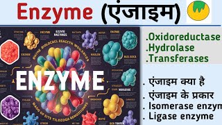 EnzymeएंजाइमEnzyme biochemistryenzyme in hindiOxidoreductaseHydrolasetransferaseKiran maurya [upl. by Eniotna]