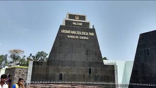 Vandalur Zoo Chennai  Watch LIVE on website Live Streaming available Arignar Anna Zoological Park [upl. by Kamila]