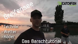 Greifensee  In der Sommerhitze Barsche fangen WIE iCatchFish Perch Barsch tutorial [upl. by Daj]