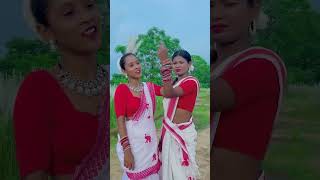 karmasong nagpuri trandingsong sadrinagpurisong shorts sadrisong song [upl. by Tiemroth347]