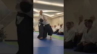 呼吸法 Dorin sensei 合気道 武道 aikido martialarts [upl. by Toor421]