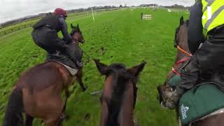 HAVE YOU EVER SEEN A SCHOOLING RACE TAKE A RIDE ON HEWICK IN IRELAND [upl. by Nomit]