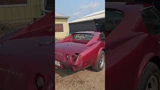 1975 Chevrolet Corvette L48 NOT L82 under only 10K miles [upl. by Akemahs700]