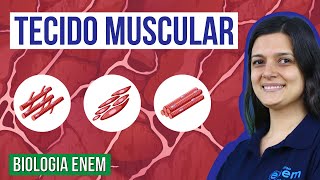 TECIDO MUSCULAR Tipos características e funções  Resumo de Biologia para o Enem [upl. by Waldner]