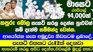 කපුරු බෝල ඇසුරුම් ස්වයං රැකියා  swayan rakiya at home  swayan rakiya at home  swayan rakiya 2024 [upl. by Eneirda508]