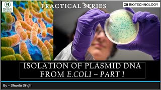 Plasmid DNA Isolation Experiment  PART 1 [upl. by Neibaf]