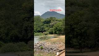 “Kandalama lakedambulla “ shorts travel shortsviral subscribe [upl. by Weinhardt]