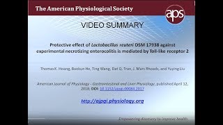 Effect of Lactobacillus reuteri is mediated by TLR2 – Hoang et al 2018 [upl. by Serafine]