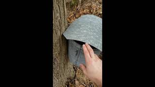 Maple Syrup  Sap Gathering Basics [upl. by Uhthna]