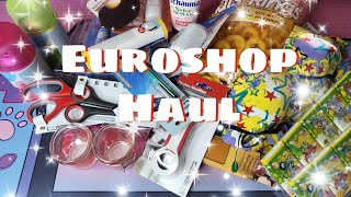 Euroshop HAUL  ALLES 110 Euro  Schöne Sachen super günstig [upl. by Care]