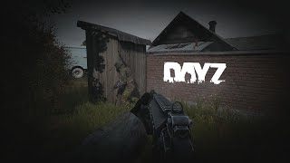 DayZ Is the LAR OVERRATED and M4 is the EASIEST GUN to use [upl. by Alamat]