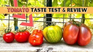 COMPLETE TOMATO REVIEW Large Red Cherry Beefsteak San Marzano Green Zebra amp Black Krim [upl. by Aivatnahs]