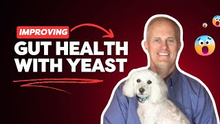 Dr Greg Sunvold Microbiome amp Pet Health [upl. by Allesig]