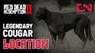 Red Dead Redemption 2  Legendary Cougar Location [upl. by Harms]